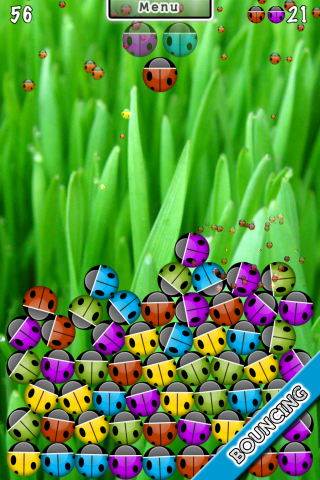 nivo slider image