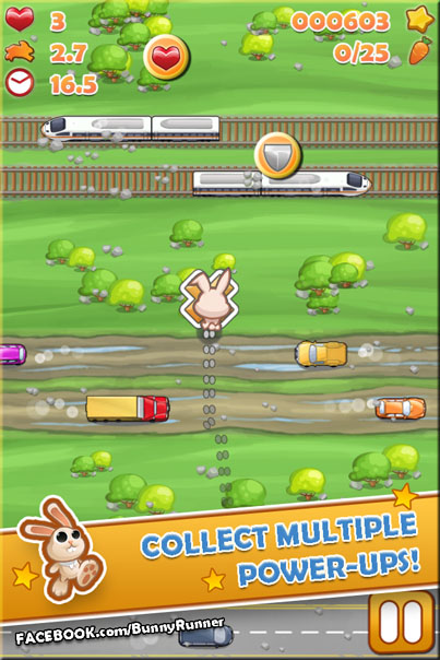 nivo slider image